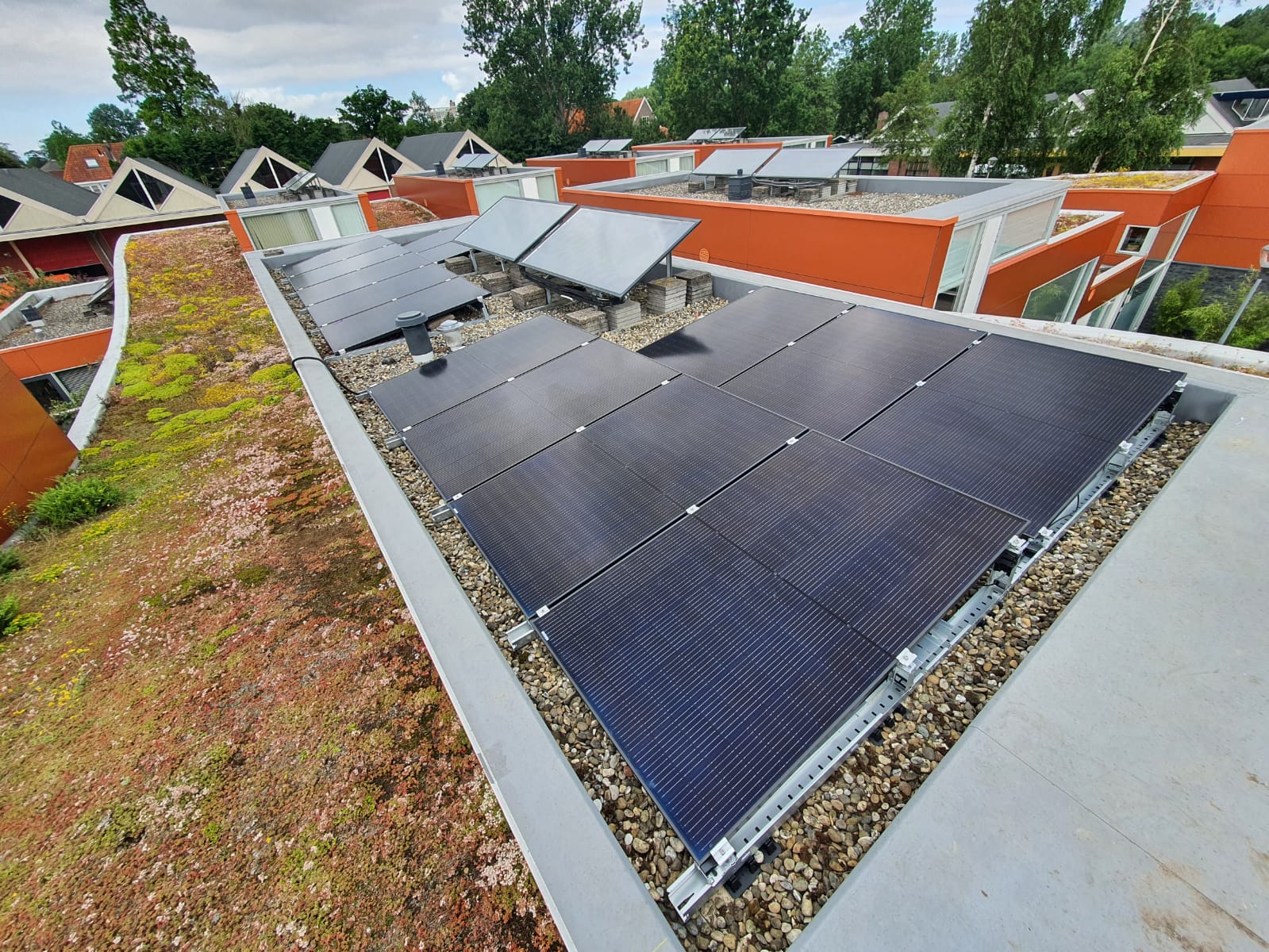 10b91f73 b1f7-4cf7-90b1-2758ea303e4b.JPG